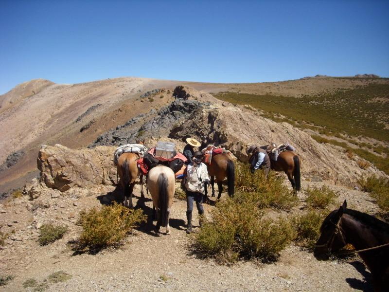 Hacienda Los Andes Villa Hurtado Eksteriør billede