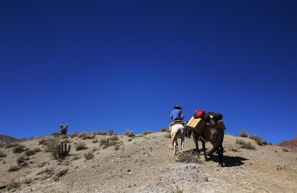 Hacienda Los Andes Villa Hurtado Eksteriør billede